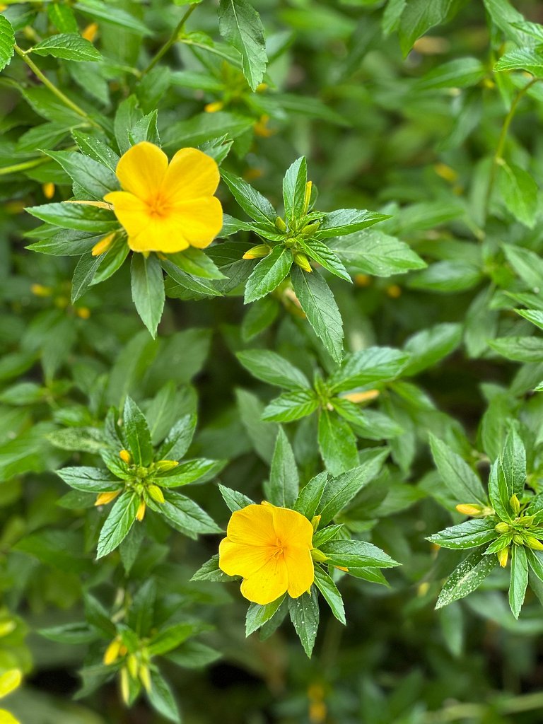 Apto Vista Mar na Tupi com 2 Quartos