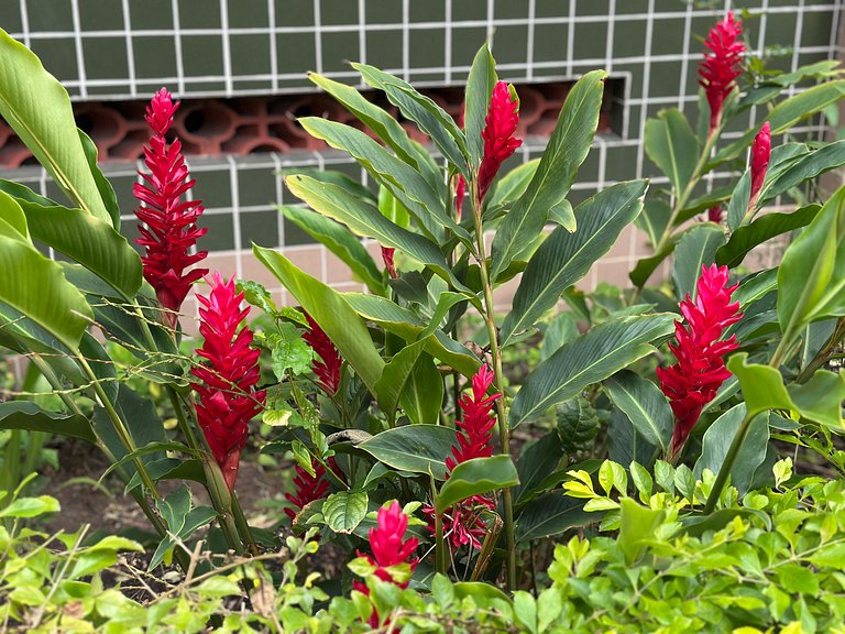 Apto Vista Mar na Tupi com 2 Quartos