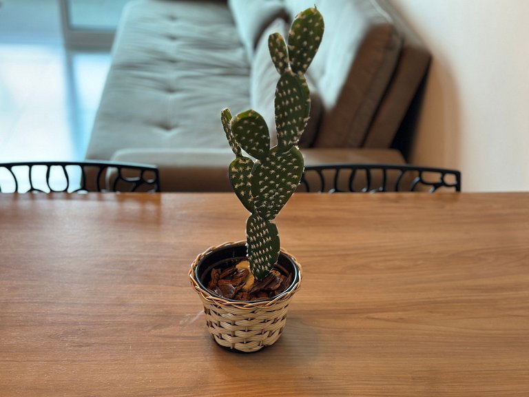 Apto Alto Padrão - Churrasqueira com Vista Mar